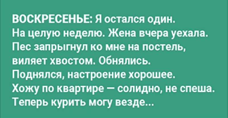 Один остался из своего полка слепаков