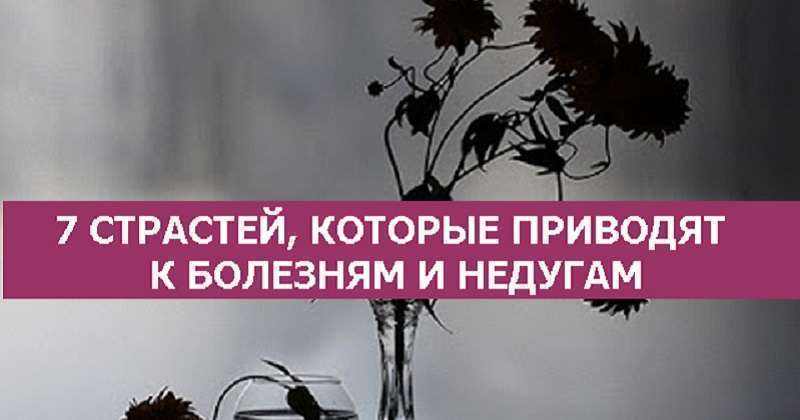 8 страстей. 7 Страстей. 7 Мыслей которые приводят к болезням. Страсти 7 страстей. Примеры хороших страстей.