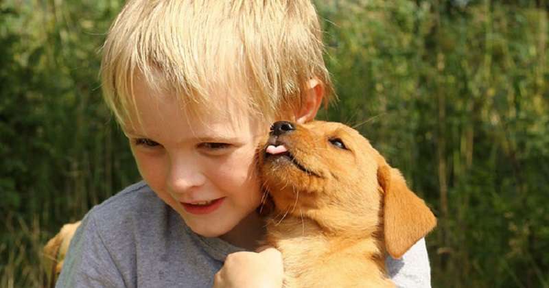 Ребенок обнимает собаку фото